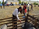 В Кызыле состоялась девятая республиканская выставка племенных овец и коз – телеканал Тува 24