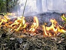 В отдельных районах Тувы из-за сильной жары сохраняется чрезвычайная пожароопасность