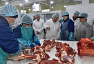 В Кызыле открылся комбинат по переработке и консервированию мяса