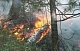 Оперативная информация  по лесным пожарам в Туве