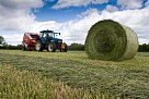 В Туве планируют заготовить более 250 тысяч тонн сена для скота