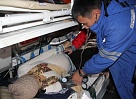 Вертолет санитарной авиации выполнил 117 вылетов в районы Тувы