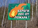 Глава Тувы потребовал усилить противопожарную профилактическую работу в лесных массивах в период майских выходных 