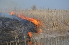 Глава Тувы призвал жителей республики пресекать случаи неосторожного обращения с огнем, включая сельхозпалы