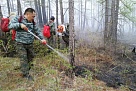 Глава Тувы призвал земляков быть осторожными в лесу