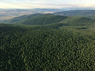 Нацпроект «Экология» помог оснастить лесничества Тувы