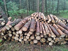 В Туве разрешат заготовку дров для семей мобилизованных граждан