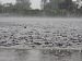 Гидрометцентр прогнозирует дожди в Туве, спасатели призывают соблюдать меры безопасности