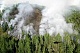 На территории Тувы действует 21 лесной пожар