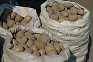 В Туве более 11 тысяч малоимущих семей бесплатно обеспечат семенами картофеля и овощей