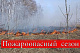 В Туве введен пожароопасный сезон