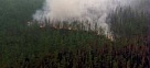 В Туве за неделю сократили количество лесных пожаров с шести до одного